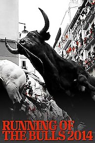 Running of the Bulls