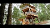 Arboreal Abode in Big Sky