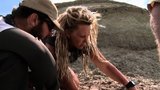 Dinos Rediscovered