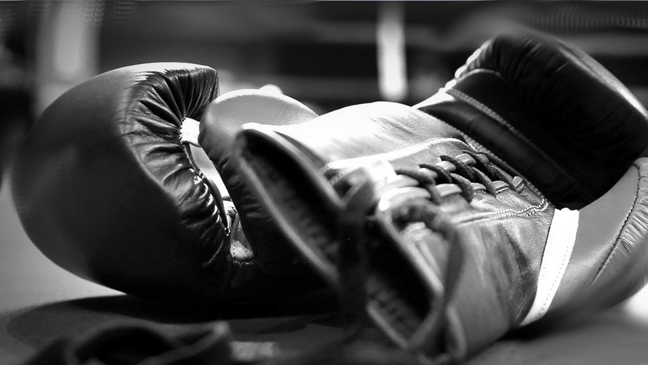 ShoBox: The New Generation: 8/7/15