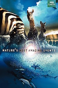 Nature's Great Events: Diaries