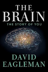 The Brain with David Eagleman