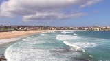 Surf or City in Sydney