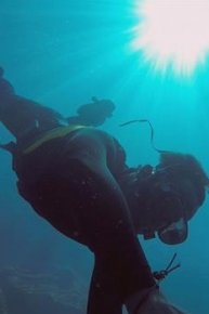 Atlantis Found
