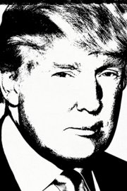The Making of Trump