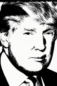 The Making of Trump
