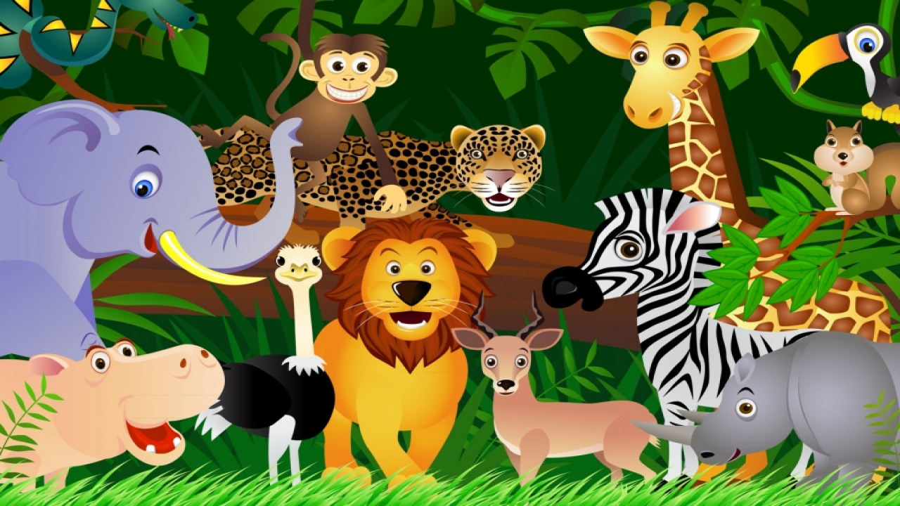 Zoo Clues