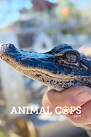 Animal Cops: Miami