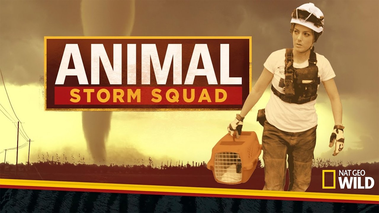 Animal Storm Squad