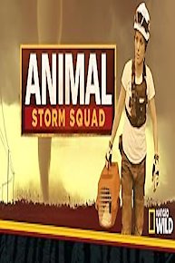 Animal Storm Squad