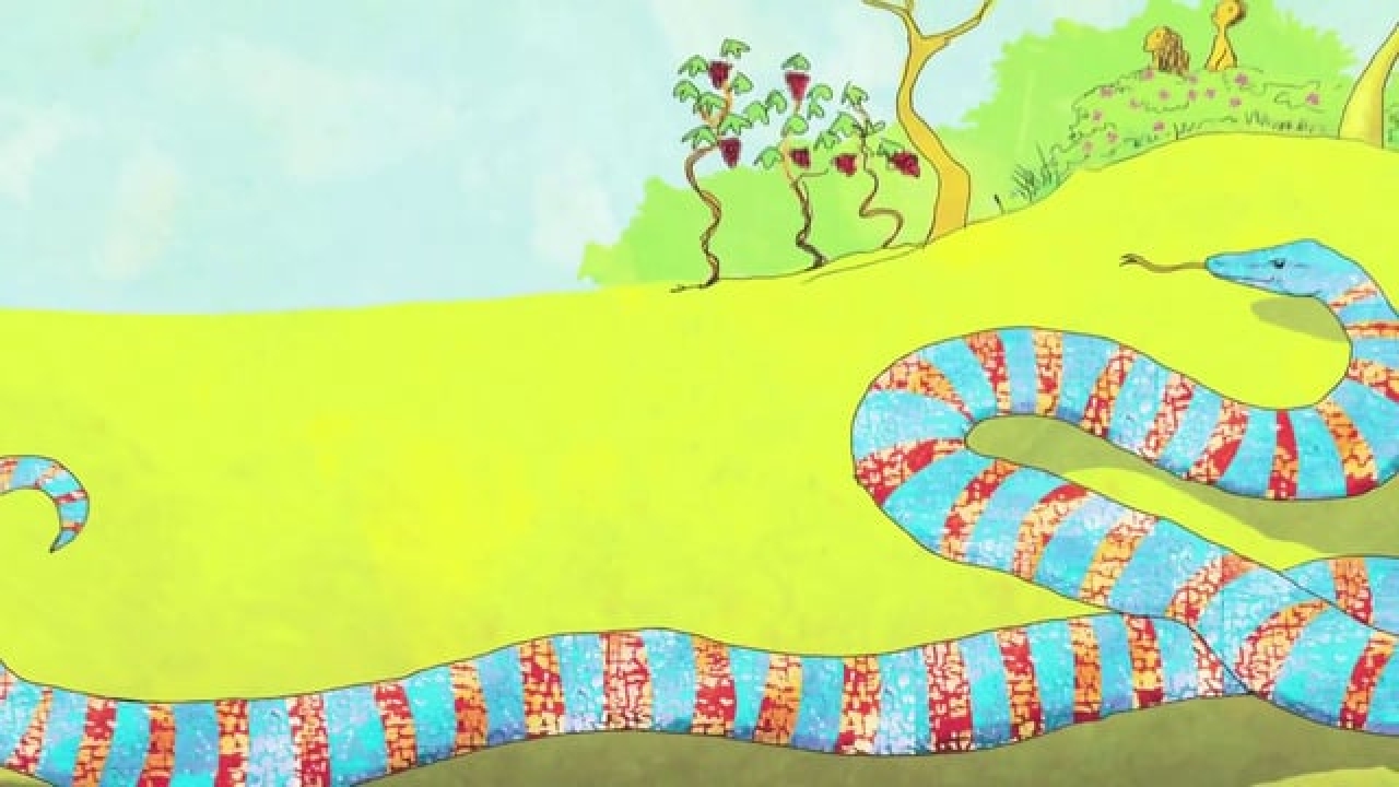 The Jesus Storybook Bible Video Bible Study by Sally Lloyd-Jones