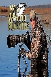 Wild Photo Adventures