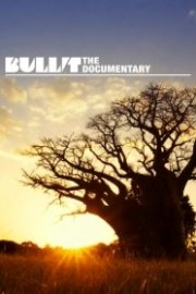 Bullit - The Documentary