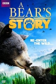 A Bear's Story