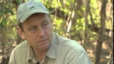 Saving Songbirds