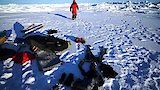 Melting: Last Race to the Pole