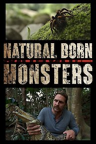 Natural Genius