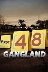 The First 48: Gangland