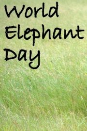 World Elephant Day