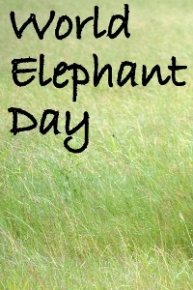 World Elephant Day