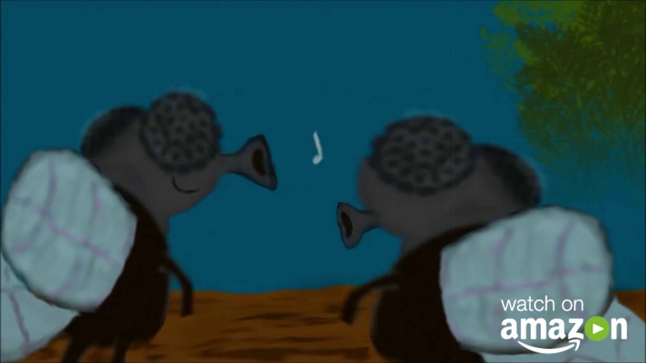 Animals Say Strange Things