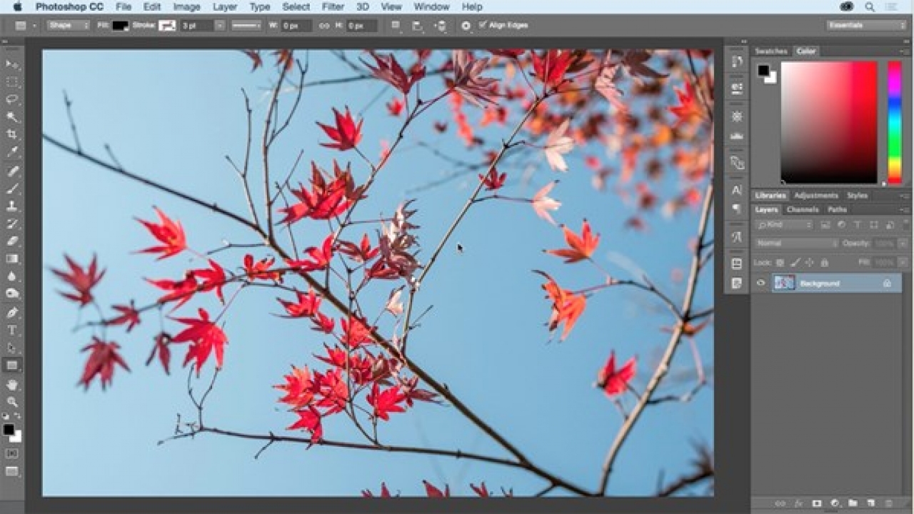 Illustrator CC 2015 Training