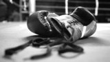 ShoBox: The New Generation: 9/23/16