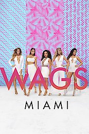 WAGS: Miami