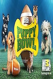 Puppy Bowl