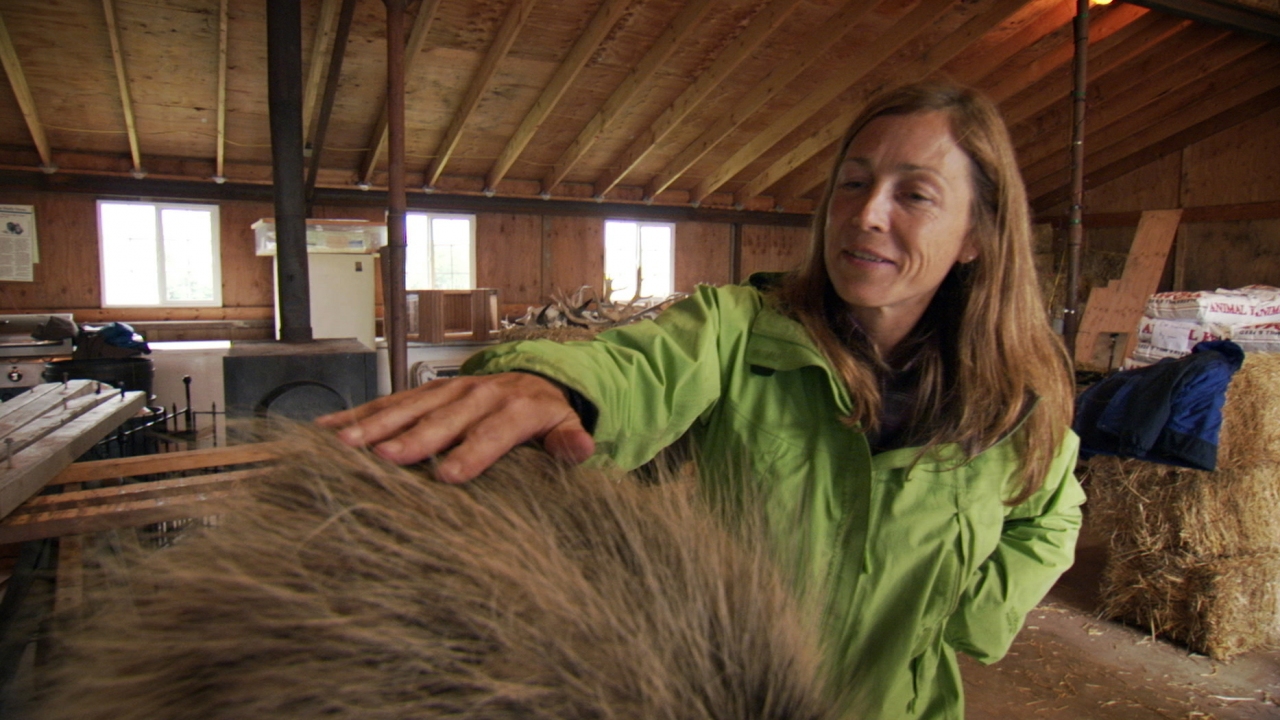 Dr. Oakley, Yukon Vet: Northern Disclosure