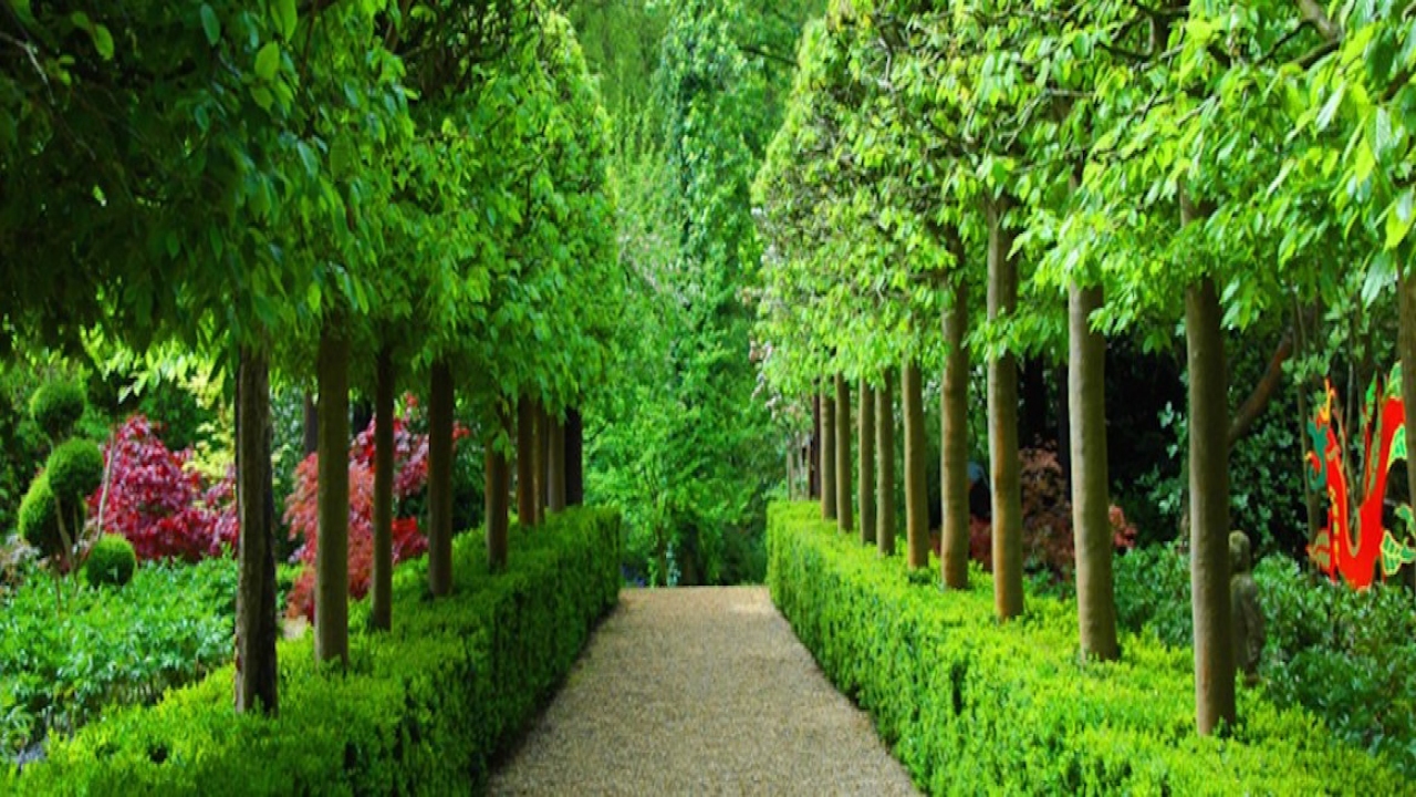 The Great Gardens of England