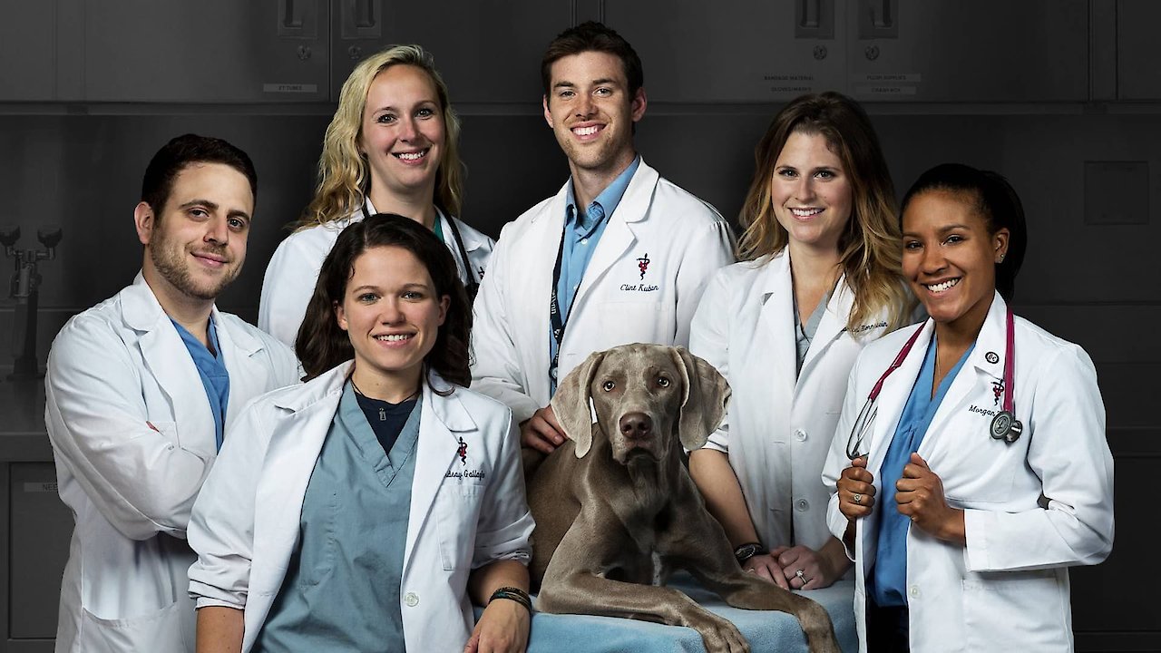 Life at Vet U: Extra Credit