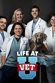 Life at Vet U: Extra Credit