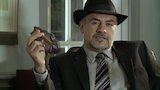 Capitulo 13