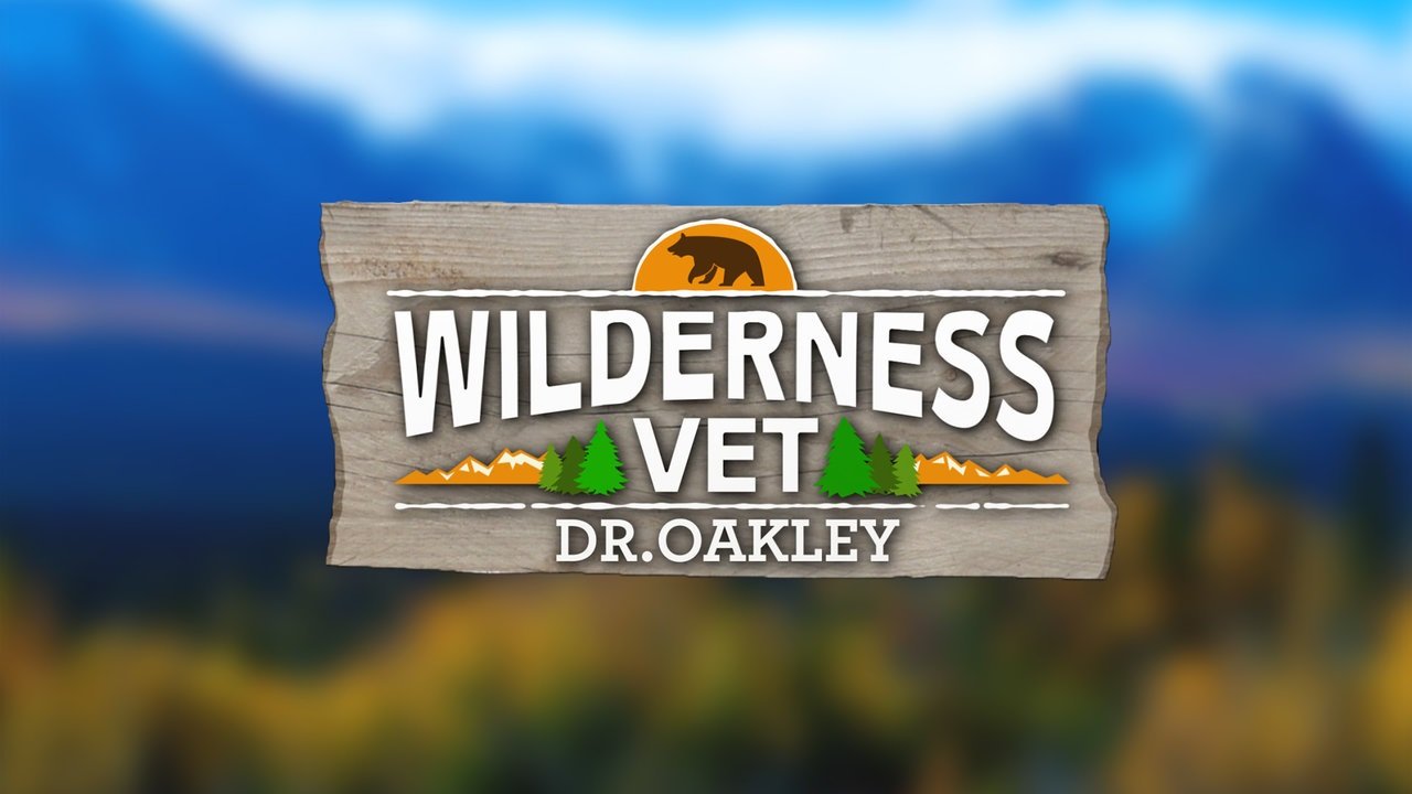 Wilderness Vet