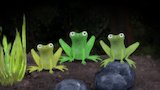 Ep 46 - Frogs