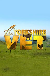 The Yorkshire Vet