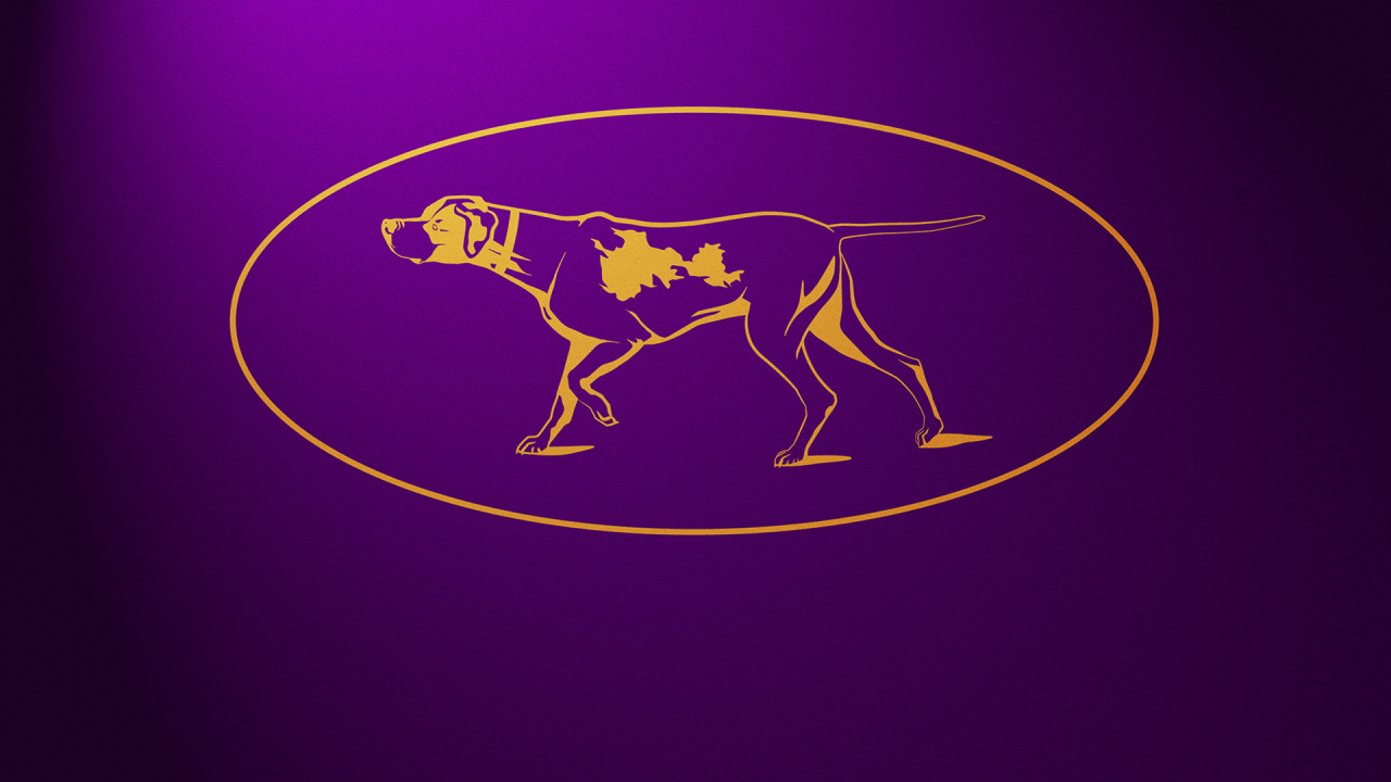 Westminster Kennel Club Dog Show