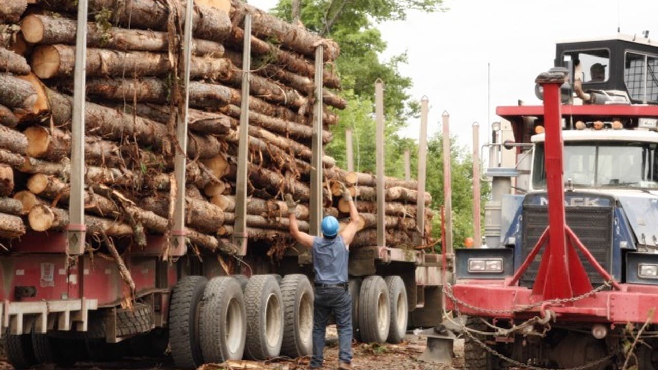 Heli-Loggers