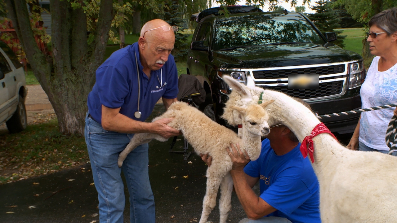 Calling Dr. Pol