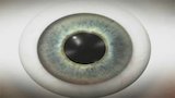 Eyes