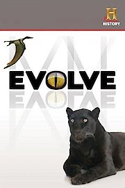 Evolve