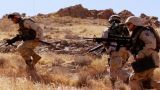 Afghanistan's Deadliest Snipers