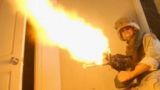 Return to Fallujah