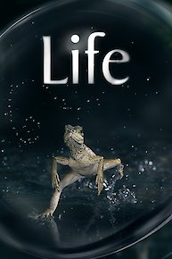 LIFE: Discovery Channel