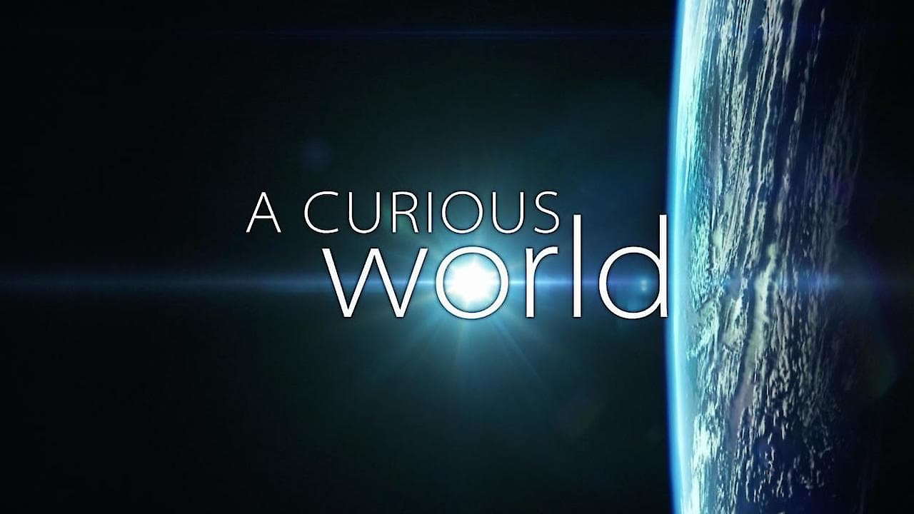 A Curious World