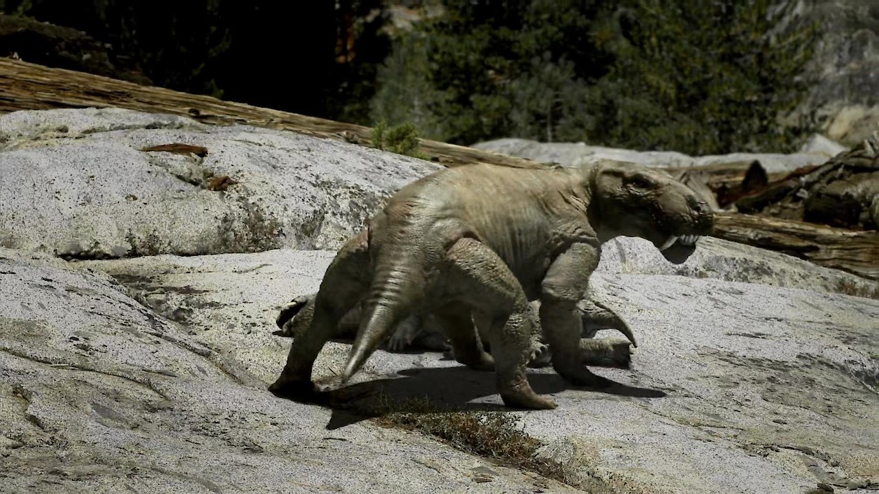 Leaps In Evolution