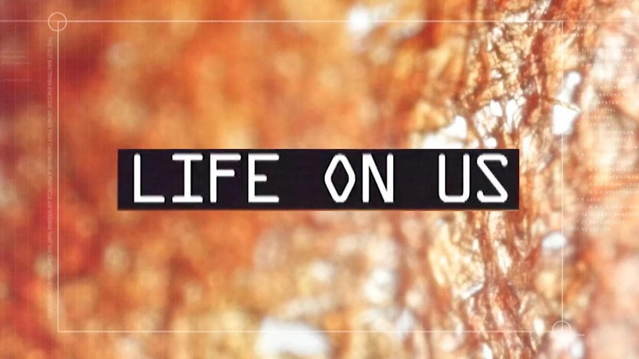 Life On Us