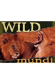 Wild Mundi