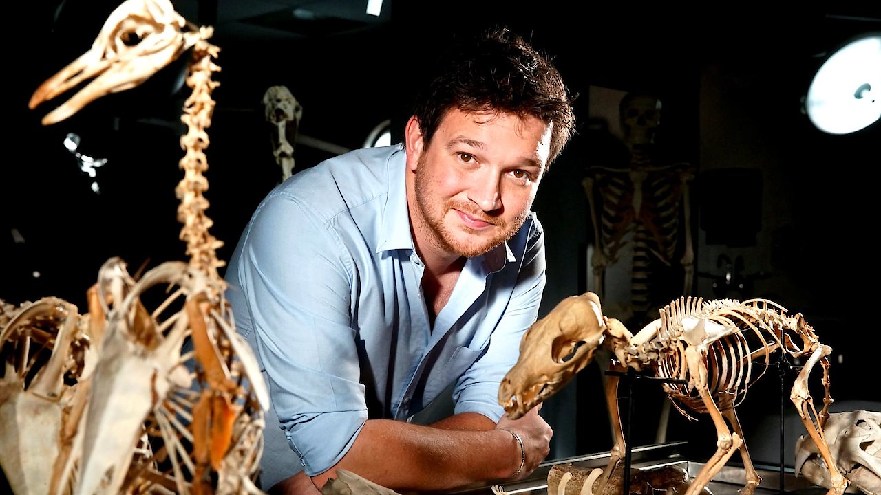 Secrets Of Bones